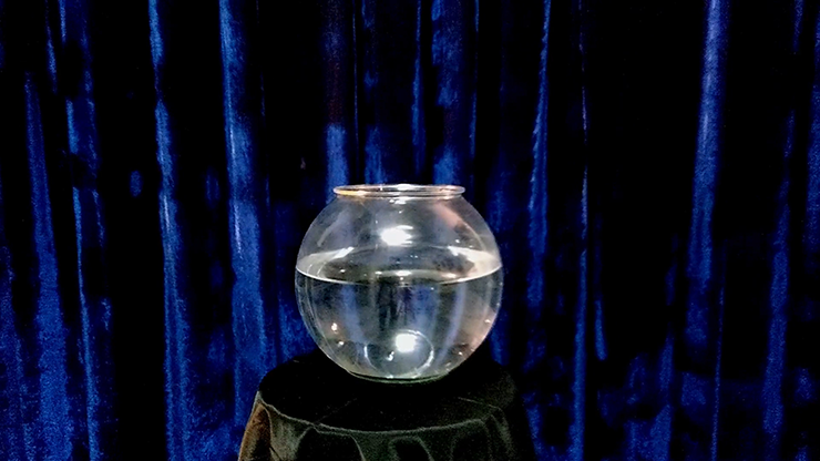 APPEARING FISH IN BOWL by Sorcier Magic - Image 2