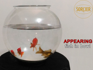 APPEARING FISH IN BOWL by Sorcier Magic
