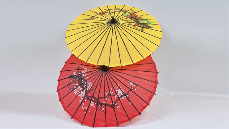 Umbrella From Bandana Set (random color for umbrella) by JL Magic - Image 4