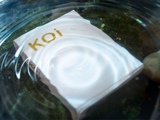 Koi V2 Playing Cards by Byron Leung